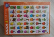 Puzzle Kaktusy i sukulenty 1000 elementów