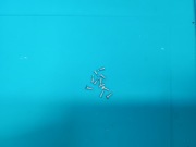 Realme 12 pro plus 5G zestaw śrubek