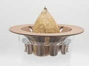 Awokado germinator, podstawka do kiełkowania nasion awokado