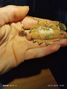 Zakładka do książki 