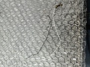 Zestaw anten | Oppo Reno 6 Pro 5G