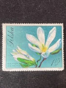 Znaczek pocztowy Mangolia Japońska - Polska 1972 XF/S