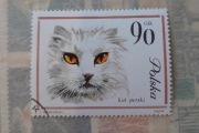 Znaczek pocztowy kot perski 