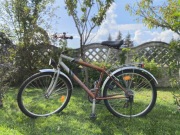 Horizon Street CTB Group (rower miejski)