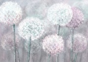 PLAKAT A3 czosnek ozdobny kwiaty czosnku