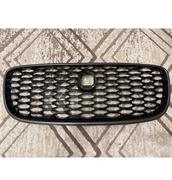JAGUAR F-PACE LIFT 21- Grill, atrapa zderzaka