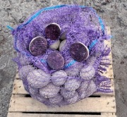 Ziemniaki fioletowe Provita 