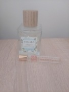 Colabo Chypre + Fendi l'Acquarossa edp