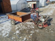 DZIK SAM MOCNE WOZIDŁO