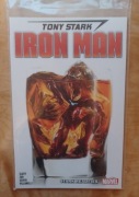 Iron Man - Stark Realities TP