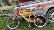 Rower dziecięcy Victus miki