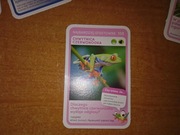 Efektowne Chwytnica Czerwonooka nr 108 Super Zwierzaki Biedronka