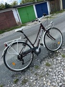 Rower miejski "Damka"