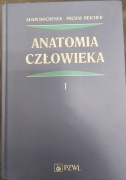 Anatomia Człowieka TOM I Adam Bochenek Michał Reicher