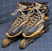 BAUER damskie rolki rozmiar 39 wkładki 24,5 cm ABEC 5 Plecak transportowy