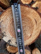 Słupki ogrodzeniowe/ stemple budowlane modrzewiowe 