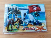 Magnes na lodówkę - Tunezja , Djerba