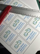 Magnes Wokół Zalewu Szczecińskiego/ Stettiner Haff Rundweg