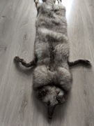 Kołnierz szal z lisa naturalny 