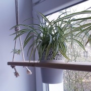 Półka na zioła kwiaty zielnik kwietnik makrama