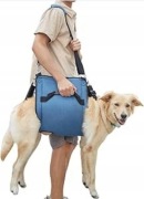 COODEO Pas do noszenia psa xl
