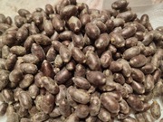 murarki pszczoły kokony 300 szt+10% 