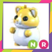 Neon Ride Golden Hamster NR | Adopt Me | Roblox