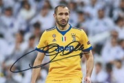 Giorgio CHIELLINI oryginalny autograf! JUVENTUS