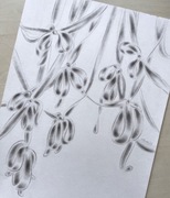 Oryginalny rysunek wstążki