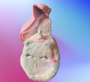 Kolorowa pluszowa torba