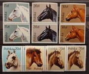 Fi: 3042 - 3047** parki foto. Konie.