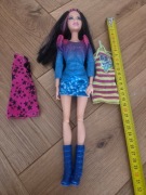 Barbie fashionistas
