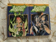 Shaman King (17-18) - manga po niemiecku, german, carlsen, in deutsch 