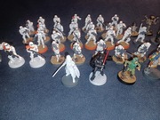 Star Wars Legion Armia Imperium figurki