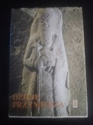 Dzieje Przymierza. Biblia dla młodzieży 