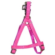 ZOLUX Szelki Mac Leather 20mm