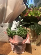 Wielkanocna kompozycja z rzeżuchą i dekoracją - prezent, ozdoba stołu 