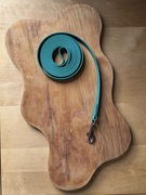 Smycz wodoodporna treningowa - Pastelowy zielony / turkusowy