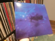 Pejzaż - Blues Winyl