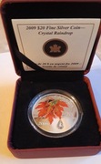 Kanada, 20 dolarów 2009, Liść klonu z kroplą deszczu