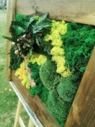 Obraz z mchu, dekoracja