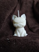 świeczka sojowa zły pies piesek 