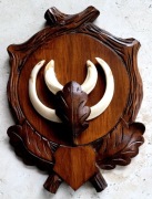 Oręż dzika na ręcznie rzeźbionej podkładce