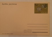 Kartka pocztowa Cp857 Powojniki