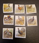 Fi 1841-1848** Ptaki łowne.