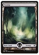 MTG Zendikar Rising: Swamp (272) FOIL
