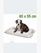 Kuweta toaletowa dla pieska