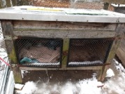 Klatka dla królików