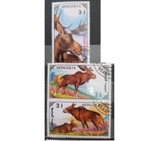 Fauna zwierzęta ssaki łosie Mongolia