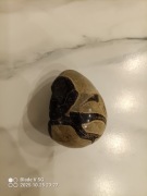 SEPTARIAN Septaria Smocze jajo 369g